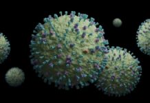 Registran primer caso de metapneumovirus humano en Veracruz