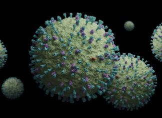 Confirman primera muerte por metapneumovirus humano en Puebla