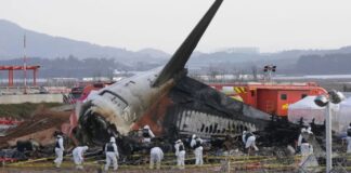 Cajas negras de avión surcoreano dejaron de funcionar antes de estrellarse