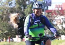 Reactivarán Vía Recreativa de Puebla este domingo 12 de enero