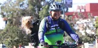 Reactivarán Vía Recreativa de Puebla este domingo 12 de enero