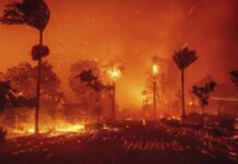 Suman 11 muertos por incendios en Los Ángeles
