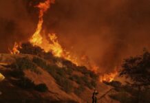Sube a 24 cifra de muertos por incendios en Los Ángeles