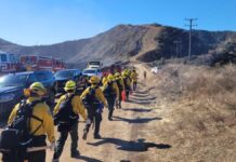 Bomberos mexicanos combaten incendios en Los Ángeles