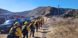 Contienen incendios forestales en Los Ángeles