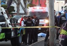 Muere hombre atropellado en Avenida Reforma