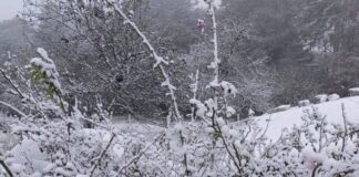 Puebla amanece con bajas temperaturas y aguanieve