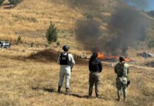 Incineran más de 750 kilos de narcóticos en Nayarit