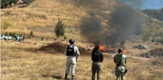 Incineran más de 750 kilos de narcóticos en Nayarit