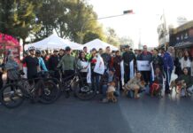 Asisten 5 mil poblanos a Vía Recreativa Metropolitana