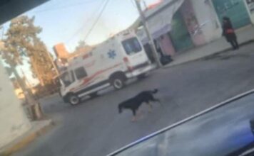 Muere ciclista atropellado en calles de Ocoyucan