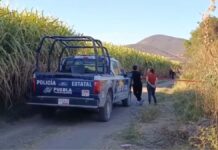 Halla persona sin vida en un cultivo en Izúcar