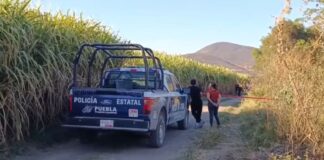 Halla persona sin vida en un cultivo en Izúcar