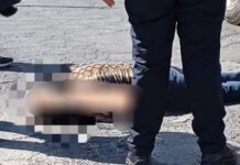 Muere mujer atropella en bulevar 5 de Mayo
