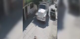 Camión arrolla a perrito dormido en Izúcar