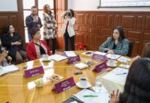 Puebla: 72% de delitos contra mujeres son violencia familiar