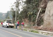 Árbol cae sobre motociclista en la Acajete-Teziutlán