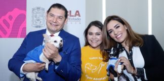 Smadsot e IBA impulsan Ley de Bienestar Animal