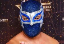 Luchador Misterius podría quedar paralítico tras accidente