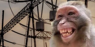 Mono provoca un apagón nacional en Sri Lanka
