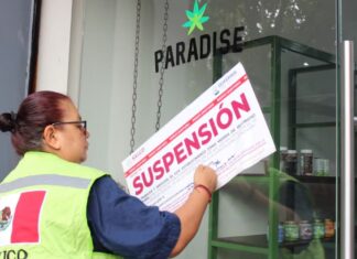 Cofepris advierte venta ilegal de productos con cannabis