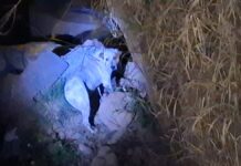 Rescatan a perrito que cayó a zanja en Cuautlancingo