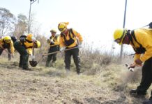 PC inicia acciones contra incendios en el cerro de Amalucan