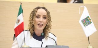 PAN buscará revertir Ley de Ciberasedio ante la SCJN