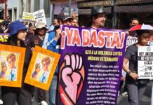 “No somos asesinos”; marchan médicos veterinarios en Puebla