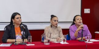 Puebla, entre los 10 lugares con más casos de violencia vicaria: IBERO