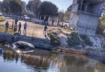 Cae automóvil a la Laguna de Valsequillo