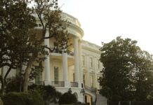 Casa Blanca retirará árbol de 200 años de antigüedad