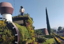 Intensifican labores de embellecimiento en Atlixco
