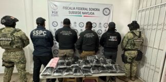 Hallan 32 kilos de fentanilo en cargamento de nopales en Sonora