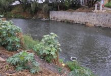 Municipios no usan plantas tratadoras pese a crisis ambiental del Río Atoyac