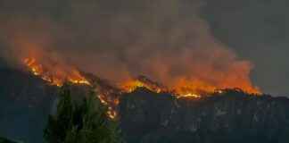 Suman 100 hectáreas afectadas por incendio en el cerro del Tepozteco