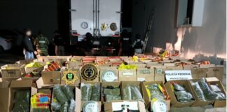 Detienen en Yucatán a hombre con 711 kilos de marihuana