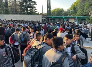 Protocolos activados en primaria y secundaria de Tehuacán