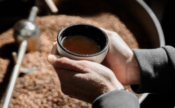 Sierra Norte de Puebla producirá Café del Bienestar: Sheinbaum