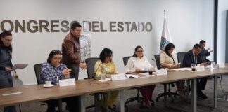 Aprueba Comisión del Congreso exhorto para promover bienestar animal