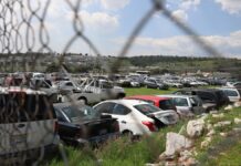 Instalarán primer corralón estatal en Tecamachalco