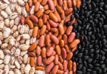 Puebla incrementará producción de frijol, harina de maíz y leche