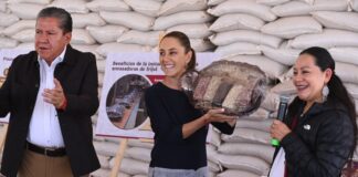 Sheinbaum anuncia Frijol del Bienestar en Zacatecas