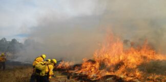 Reporta CNPC 114 incendios forestales activos en 23 estados