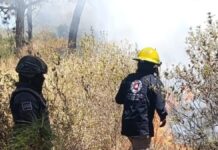 Puebla suma 301 incendios forestales en los últimos seis meses