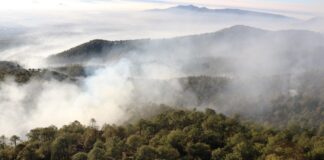 Hay dos detenidos por incendios forestales provocados en Puebla