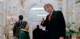 Director de “Mi Pobre Angelito 2” lamenta cameo de Trump