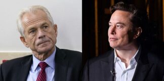 Elon Musk insulta a asesor de Comercio de Trump