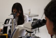 Estudiantes IBERO crean control biológico de plagas con hongos