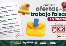 ¡Cuidado! Alertan sobre ofertas de trabajo falsas en Internet